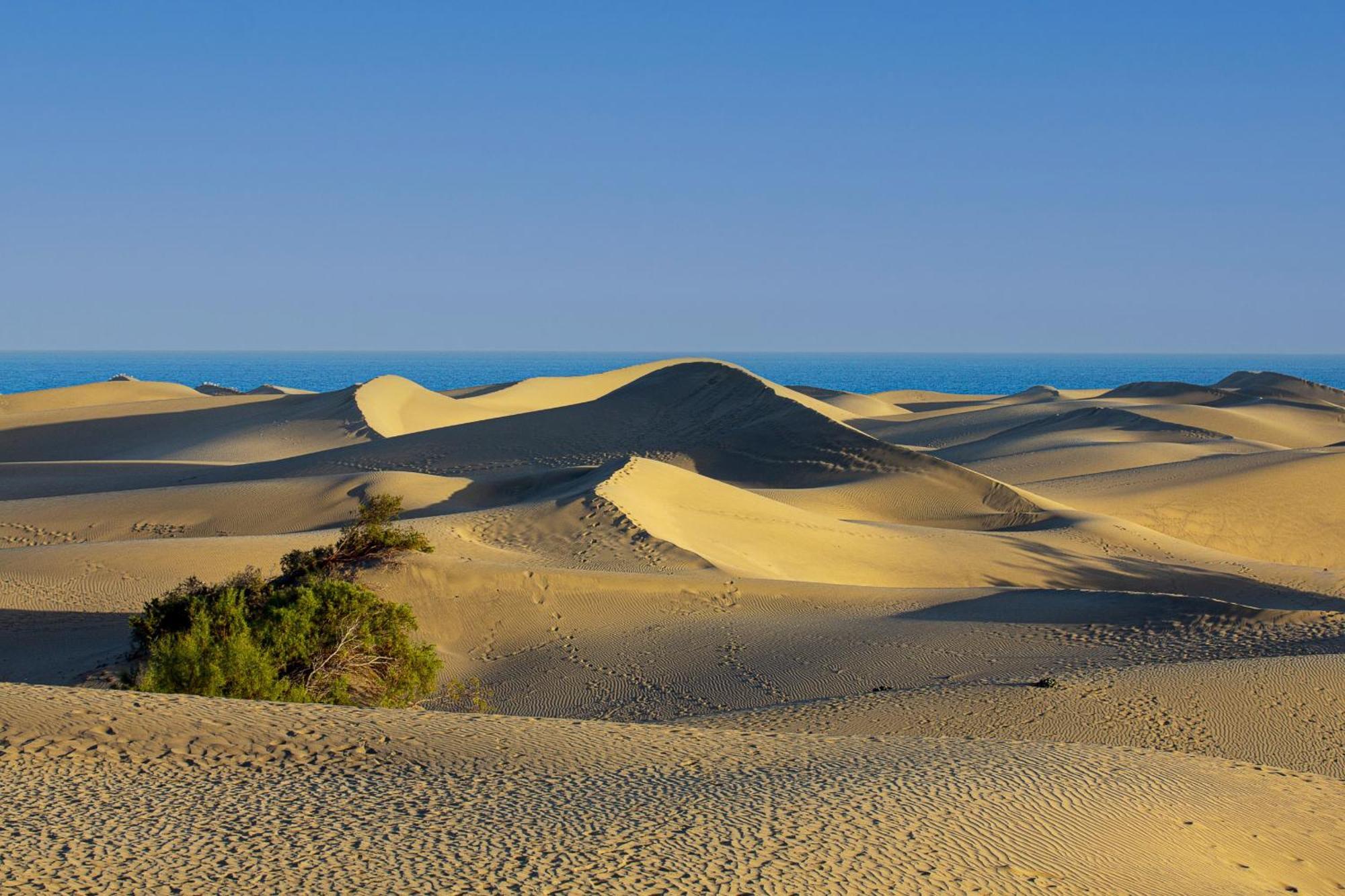 Las Camelias 215 By Pride Holiday Rentals Maspalomas  Esterno foto